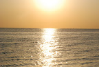 DSC_1715.JPG