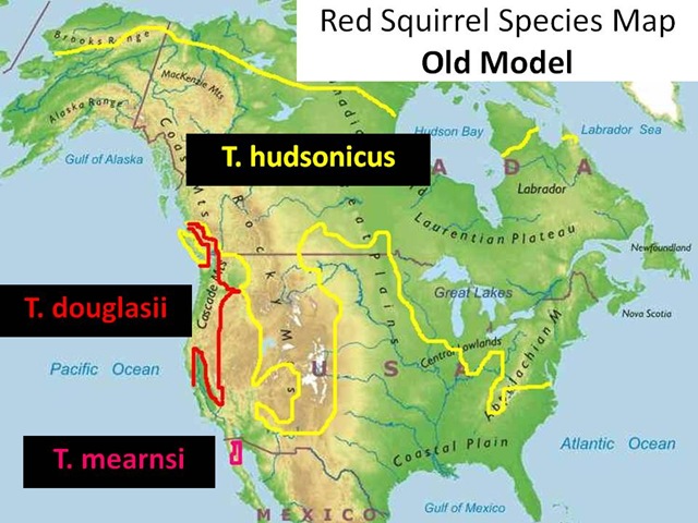 [Red Squirrel Species Map Old Model[5].jpg]