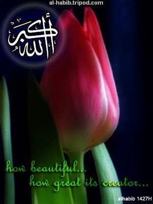 Islamic Greeting Card by Alhabib. Visit al-habib.tripod.com for more greeting cards like this!