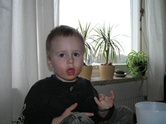 P4110003