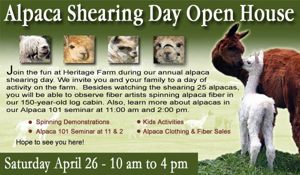 Shearing Day Open House