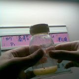 影像084.jpg