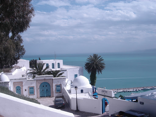 سناخذكم اليوم في جوله ممتعه لاجمل مناطق تونس  DSC07370