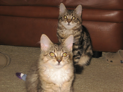 Callie and Rowan