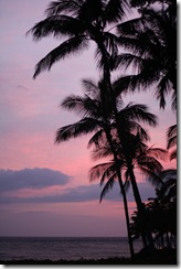 BigIsland 017