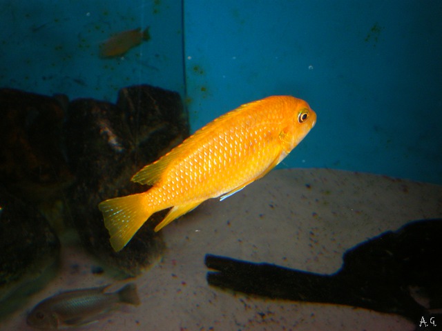 [P4220276[14].jpg]