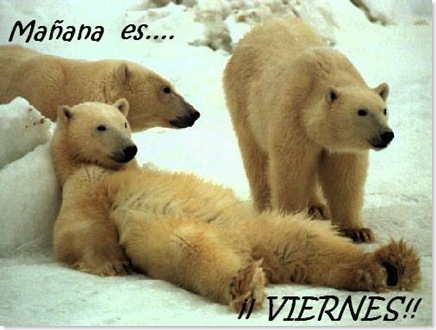 ososdescansando