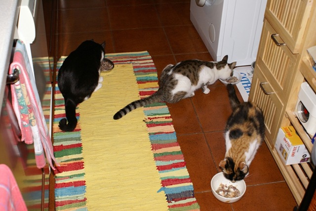 [PIC Alla pappa[9].jpg]