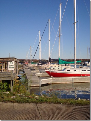 DSC00356