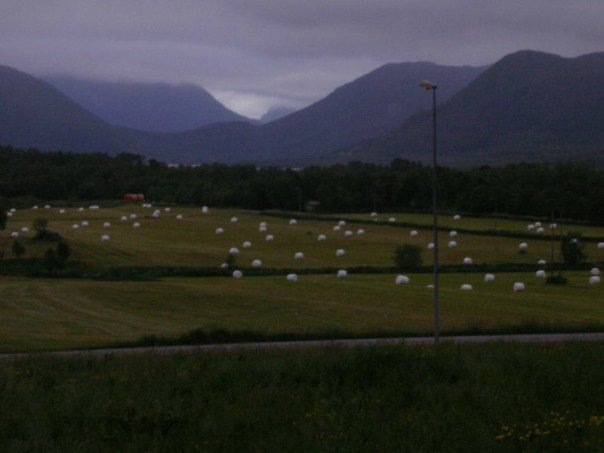 [n587690729_208571_8190[5].jpg]