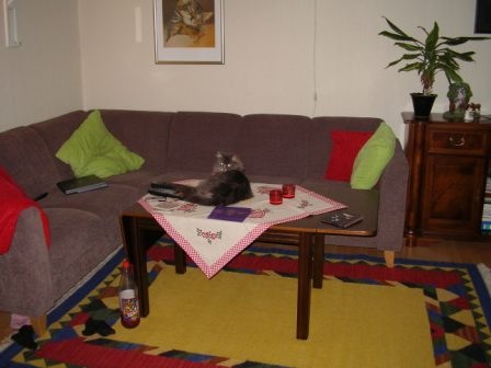 [0022.jpg]