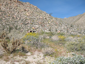 Cattlemen's Line House from a distance