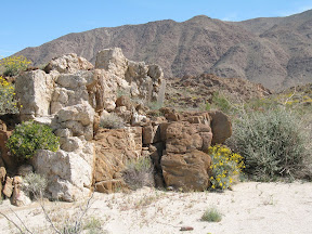 Anza 556.jpg