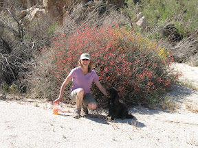 Linda and Pepper framed by Indian Paintbrush