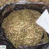 Coriander seeds. Coriander seeds.