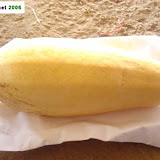 Marrow fruit saved for seed. Marrow fruit saved for seed.