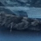 Unknown spotting