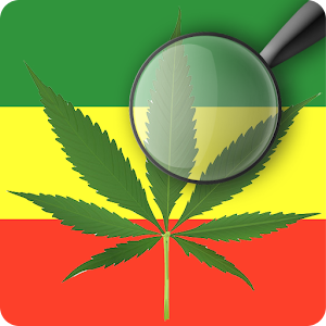 Coffeeshop Finder Amsterdam.apk 1.0