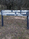 Canberra Nature Park - Theodore