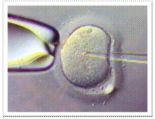 [clip_image002[9][3].gif]