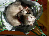 DSCN2436-01.jpg