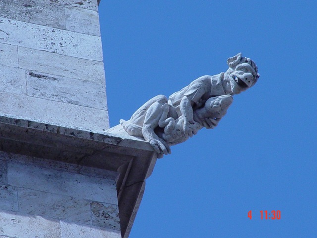 [mayo20080452.jpg]