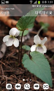 How to download 청계산야생화 lastet apk for pc