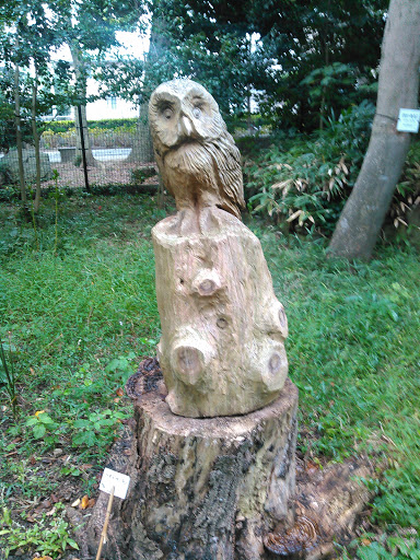 木彫りのフクロウ アリタキ植物園
