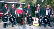 serenata mariachi