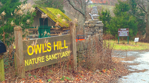 Owl's Hill Sanctuary