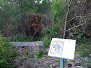 Banksia Reserve Bushcare Site