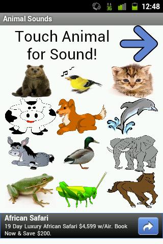 Animal Sounds