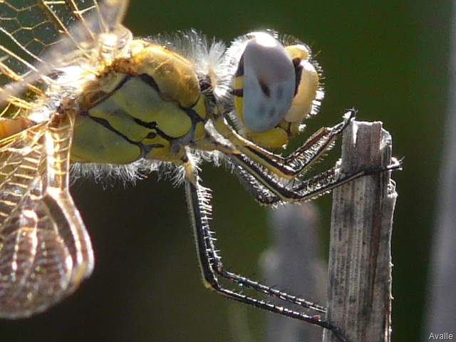 [P1030546[9].jpg]