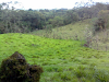 Vendo Terreno En Nanegalito