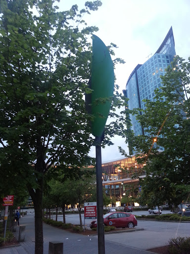 The Green Knife at Surrey Central