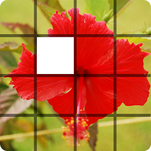 ShakeImagePuzzle.apk 1.0
