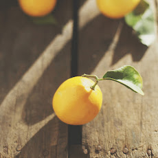 Lemon Curd