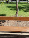 Sue Gordon Memorial Bench