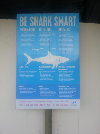 Be Shark Smart