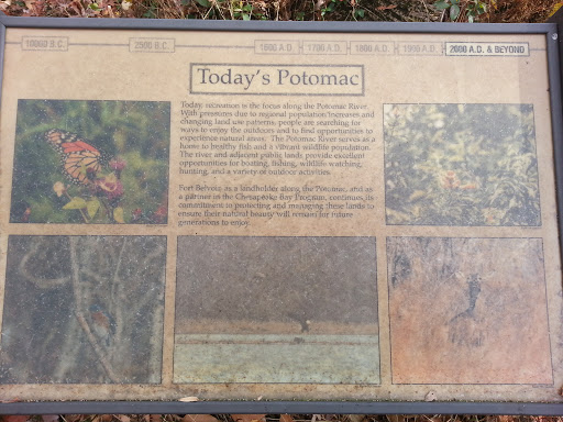 Today's Potomac