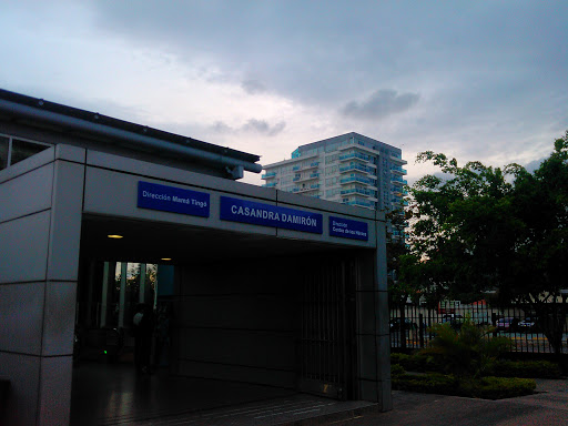 Casandra Damiron Metro Line