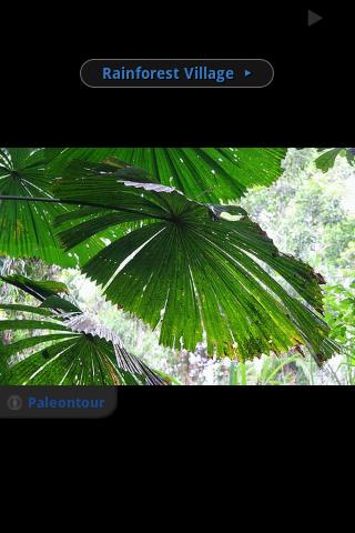 【免費旅遊App】Port Douglas & Daintree Discov-APP點子