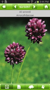 How to get Flora Helvetica Pro français Varies with device mod apk for android