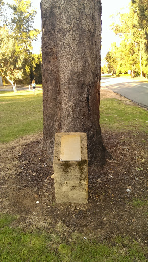 Memorial Tree Plaque 