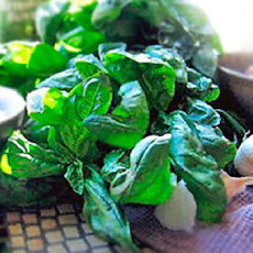 Our Favorite Basil Pesto