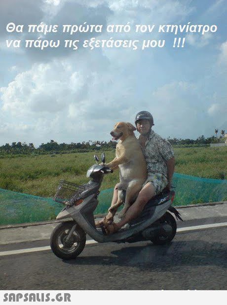 Θα πάμε πρώτα από Τον ΚΤηνίαΤρο να πάρω Τις εξετάσεις μου !! ! 