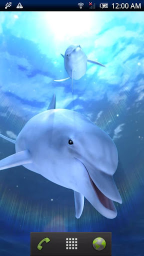 Dolphin Blue Ocean Trial