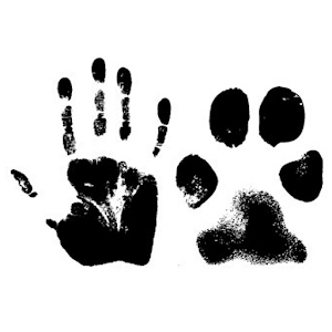 Crossroads Pet Resort.apk 4.0.1