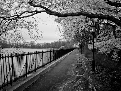 How to get Black and White Photography 1.1 unlimited apk for laptop