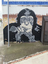 Grafitos Macaco